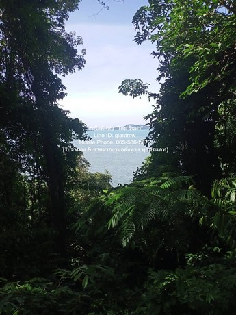 DSL-721.2 ขาย ที่ดิน ขายที่ดินสวนป่า บนเนินไหล่เขา วิวทะเล (Seaview) เกาะสิเหร่ ภูเก็ต 5-0-48.7 ไร่ (ห่างชายทะเล 100 ม.), ราคา 76,826,250