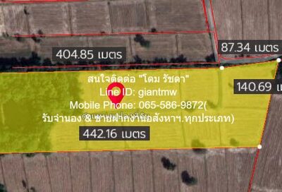 DSL-053 ขาย ที่ดิน //ปรับลดราคา//ขายที่ดิน พร้อมสิ่งปลูกสร้างติดทางหลวงหมายเลข 11 (อ.วังทอง จ.พิษณุโลก) 36-3-99.7 ไร่, ราคา 25.90 ล้านบาท