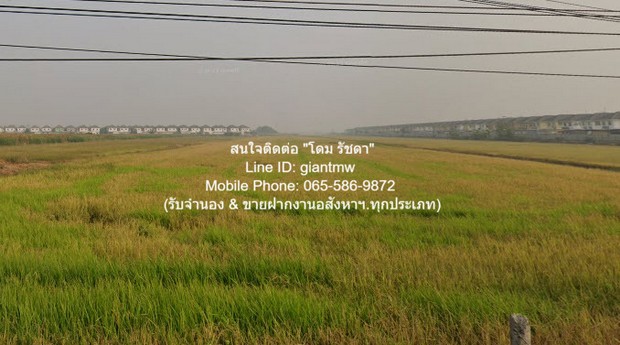 DSL-026 ให้เช่า ที่ดิน ให้เช่าระยะยาวที่ดินแปลงใหญ่ 38-2-94 ไร่ ติดถนนพหลโยธิน-ลำลูกกา (คลอง 7) ราคา 580,000 บาท/เดือน 580000 บาทต่อเดือน