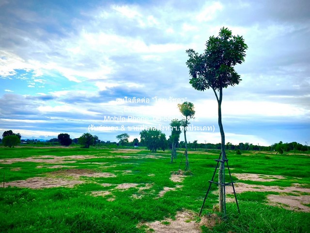DSL-819 ขาย ที่ดิน ขายที่ดินจัดสรรแปลงใหญ่ พร้อมทะเลสาบ (ติดถนนหลัก และติดถนนรอง) อู่ทอง จ.สุพรรณบุรี 60-3-0 ไร่ ราคา 23 ล้าน ใกล้กับ