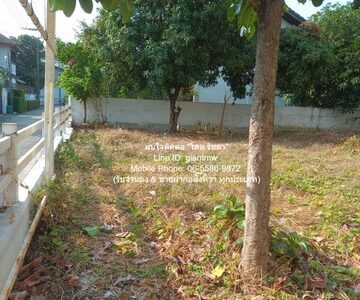DSL-921 ขาย ที่ดิน ขายที่ดินเปล่าถมแล้ว ซ.ลาดพร้าว 94 (ตรงข้ามห้างอิมพิเรียล เวิลด์ ลาดพร้าว) 88 ตร.ว. ราคา 15 ล้านบาท (โอนฟรี) กรุงเทพ 88