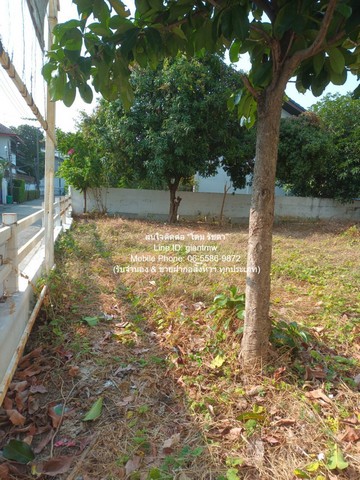 DSL-921 ขาย ที่ดิน ขายที่ดินเปล่าถมแล้ว ซ.ลาดพร้าว 94 (ตรงข้ามห้างอิมพิเรียล เวิลด์ ลาดพร้าว) 88 ตร.ว. ราคา 15 ล้านบาท (โอนฟรี) กรุงเทพ 88