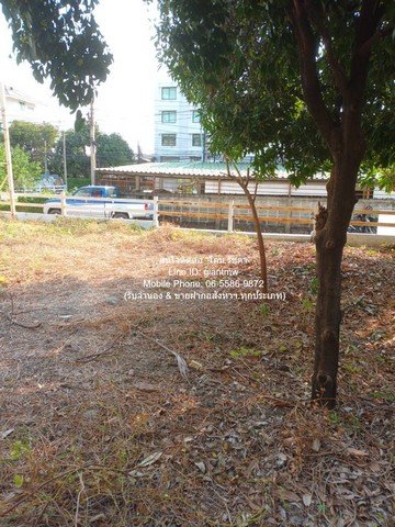 DSL-921 ขาย ที่ดิน ขายที่ดินเปล่าถมแล้ว ซ.ลาดพร้าว 94 (ตรงข้ามห้างอิมพิเรียล เวิลด์ ลาดพร้าว) 88 ตร.ว. ราคา 15 ล้านบาท (โอนฟรี) กรุงเทพ 88