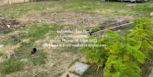 DSL-924.2 ขาย ที่ดิน ขายที่ดินเปล่าถมแล้ว และมีรั้วแล้ว (ใกล้ตลาดเวิลด์มาร์เก็ต) 100 ตร.ว. ราคา 3 ล้านบาท กรุงเทพ ทวีวัฒนา ใกล้กับ