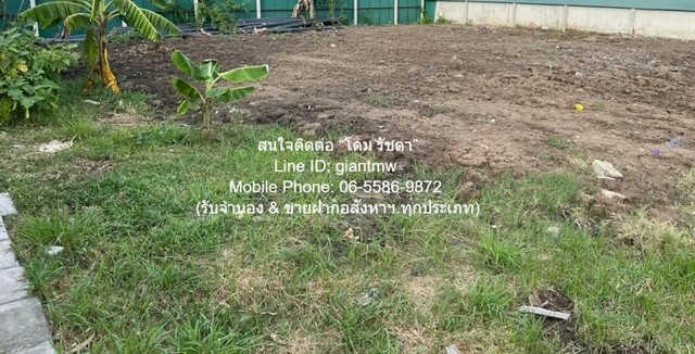 DSL-924.2 ขาย ที่ดิน ขายที่ดินเปล่าถมแล้ว และมีรั้วแล้ว (ใกล้ตลาดเวิลด์มาร์เก็ต) 100 ตร.ว. ราคา 3 ล้านบาท กรุงเทพ ทวีวัฒนา ใกล้กับ