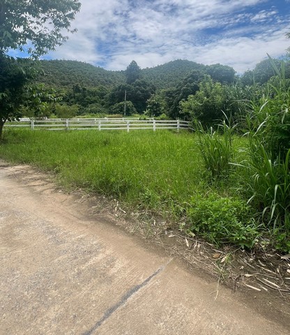 ขายที่ดิน 65ตรว. ลดเหลือ450,000บาท ฟรีโอน วิวเขา ถนนคอนกรีต น้ำประปา ไฟฟ้า ใกล้ถนนสันกำแพง-แม่ออน ต.ออนใต้ อ.สันกำแพง เชียงใหม่