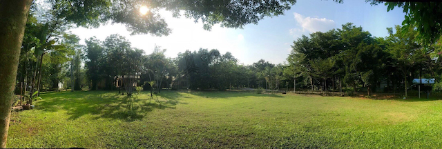 L260038 | ที่ดินพร้อมสิ่งปลูกสร้าง บ้านพัก เหมาะสำหรับทำรีสอร์ท บ้านพักและสวนผลไม้ ไม่ไกลจากตัวเมืองปราจีนบุรี
