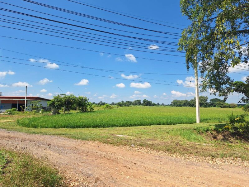 ที่ดินเปล่า 15 ไร่, ติดถนนหมายเลข 117 (นครสวรรค์ – พิจิตร) อ.โพธิ์ทะเล จ.พิจิตร