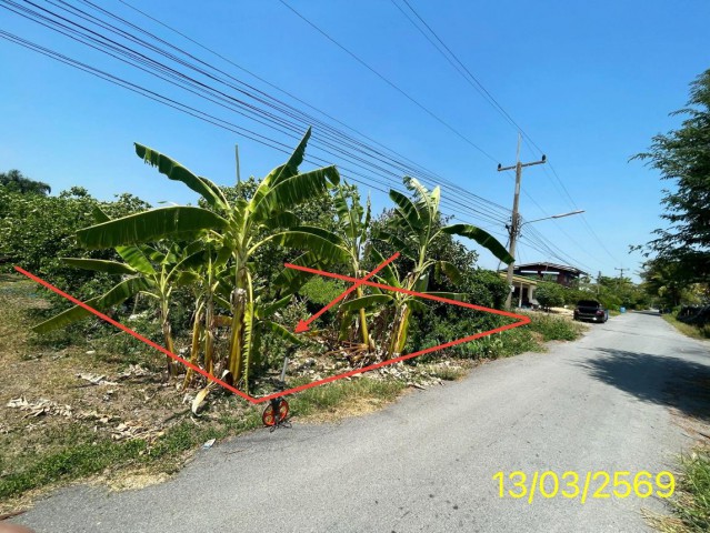 ขายที่ดินปทุมธานี อำเภอหนองเสือ ถนน เลียบคลอง 14 ฝั่งตะวันตก