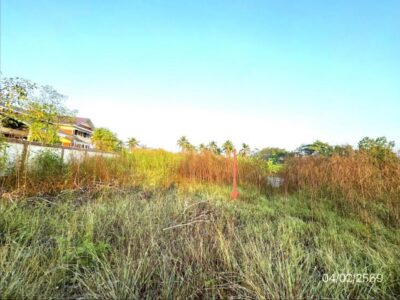 ขายที่ดินสมุทรสาคร 2 ไร่ อำเภอบ้านแพ้ว ถนน ประตูน้ำบางยาง - หนองนกไข่
