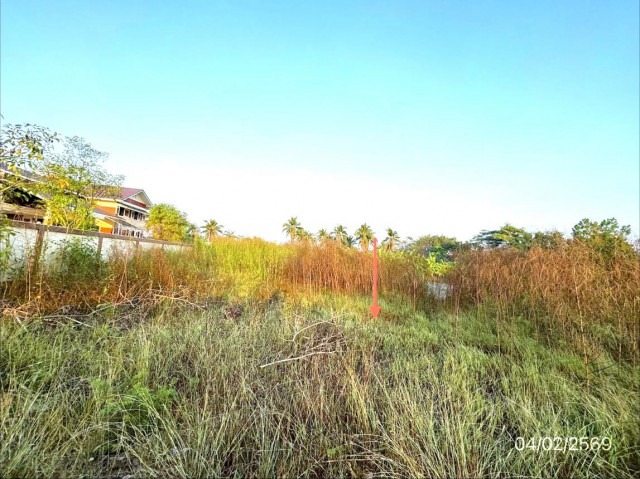 ขายที่ดินสมุทรสาคร 2 ไร่ อำเภอบ้านแพ้ว ถนน ประตูน้ำบางยาง - หนองนกไข่