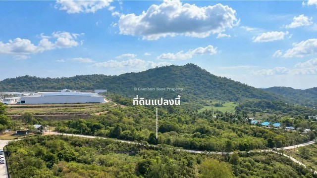ขายที่ดิน พื้นที่ 17 ไร่ 1 งาน 55 ตร.ว. ใกล้นิคมอุตสาหกรรมปิ่นทอง 3 ศรีราชา ชลบุรี