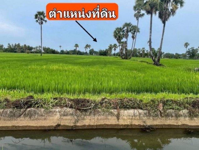 ขายที่ดิน ทำเลทองแห่งความสงบ ต.บ้านหาด อ.บ้านลาด เพชรบุรี