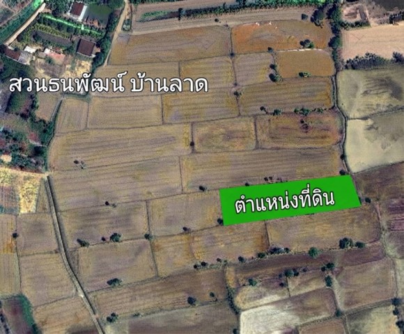 ขายที่ดิน ทำเลทองแห่งความสงบ ต.บ้านหาด อ.บ้านลาด เพชรบุรี