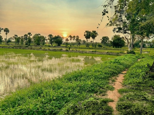 ขายที่ดิน ทำเลทองแห่งความสงบ ต.บ้านหาด อ.บ้านลาด เพชรบุรี