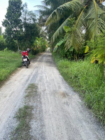 ขายที่ดิน แปลงสวยถมแล้ว ต.บ้านลาด อ.บ้านลาด จ.เพชรบุรี 1 งาน 89 ตรว.