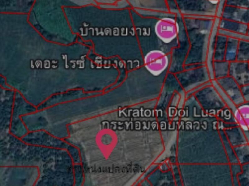 ขายที่ดินอำเภอเชียงดาว จังหวัดเชียงใหม่ เนื้อที่ 6 ไร่ 1 งาน 82 ตารางวา