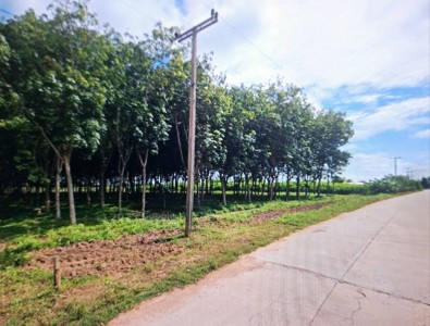 ที่ดินเปล่า 39-3-46 ไร่ ติดศูนย์พัฒนาเด็กเล็กบ้านสีออ, อบต.สีออ อ.กุมภวาปี จ.อุดรธานี