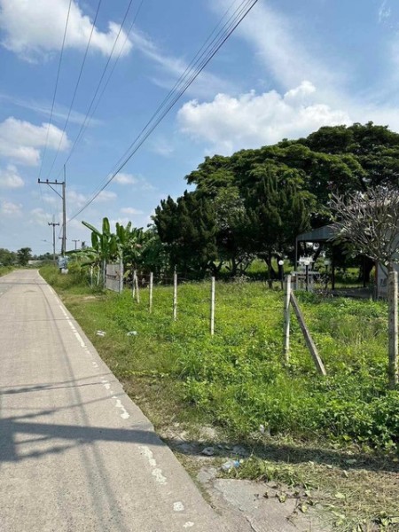 ขายที่ดิน 5ไร่ 41 ตรว แถวบ้านถวาย อ.หางดง จังหวัดเชียงใหม่