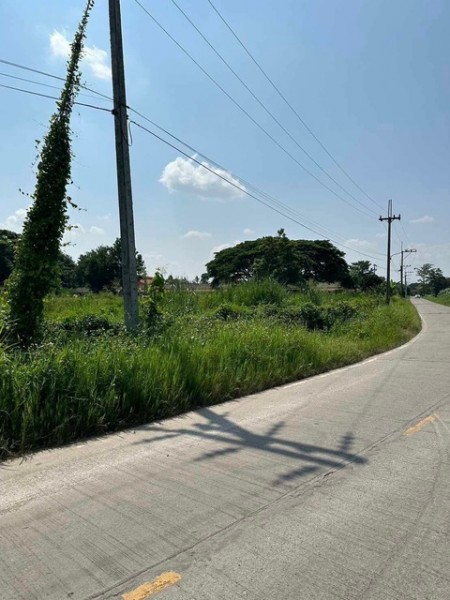 ขายที่ดิน 5ไร่ 41 ตรว แถวบ้านถวาย อ.หางดง จังหวัดเชียงใหม่