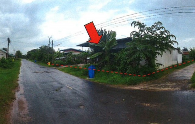 ขายที่ดินพร้อมสิ่งปลูกสร้าง เนื้อที่ 3 งาน 52 ตร.วา อ.ตาลสุม จ.อุบลราชธานี