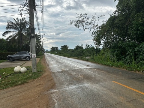 ขายที่ดิน 12 ไร่ สันผักหวาน หางดง ทำเลทอง เหมาะทำโครงการ จัดสรร