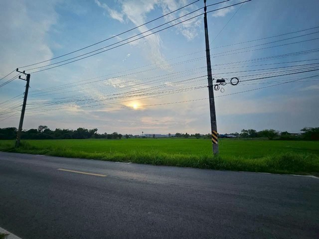 ขายที่ดินสวยแปลงใหญ่ ทำเลดี เนื้อที่ 65 ไร่ 2 งาน 40 ตรว. พนัสนิคม จังหวัดชลบุรี