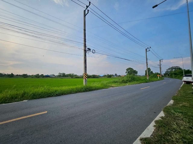 ขายที่ดินสวยแปลงใหญ่ ทำเลดี เนื้อที่ 65 ไร่ 2 งาน 40 ตรว. พนัสนิคม จังหวัดชลบุรี
