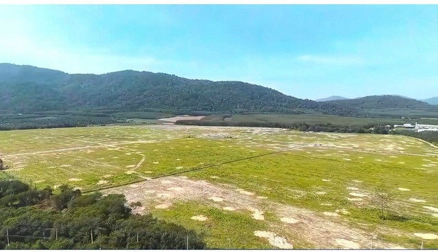 ขายที่ดิน แปลงใหญ่ เนื้อที่ 306 ไร่ 1 งาน 42.5 ตร.ว. ผังเมืองสีเหลือง บ้านบึง ชลบุรี