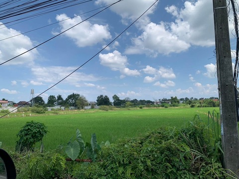 ขายที่ดิน 8 ไร่ 71 ตรว ผังเหลือง ตำบลสันผักหวาน หางดง เชียงใหม่ ( แม่เหี๊ยะ ) ใกล้สนามบิน