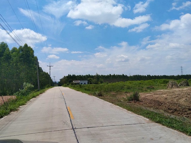 ขายที่ดินสวย เนื้อที่ 55 ไร่ 1 งาน 69 ตร.ว. ทำเลลงทุน หนองอิรุณ บ้านบึง ชลบุรี