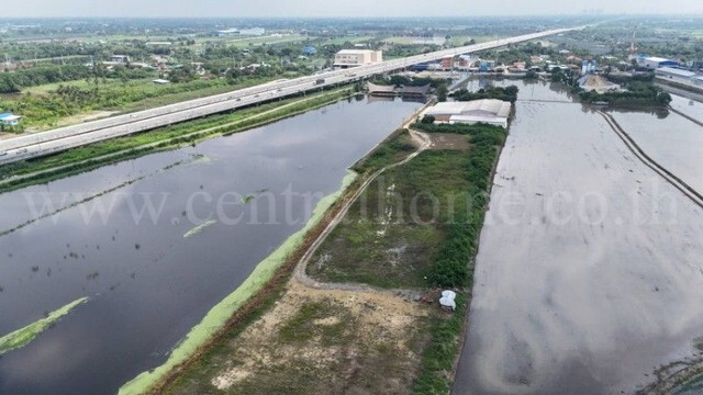 ที่ดิน อ.พุทธมณฑล 10 ไร่ 1 งาน ถมเรียบร้อยแล้ว ใกล้ มอเตอร์เวย์ M81