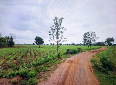 ขายที่ดิน 30-1-3.0 ไร่ ติดทางสาธารณะ อ.ด่านขุนทด จ.นครราชสีมา