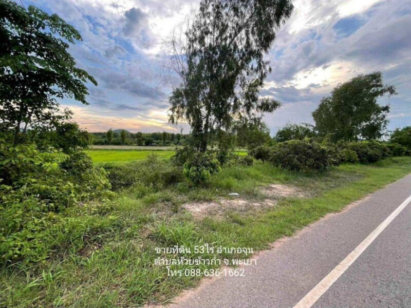 ขาย ที่ดิน 53 ไร่ อำเภอจุน ต.ห้วยข้าวก่ำ จ. พะเยา (ที่ดินติดถนน พย 4023 ถึง ด้านบน ภูเขา ม่อน) โฉนดพร้อมโอน ราคาต่อรองได้