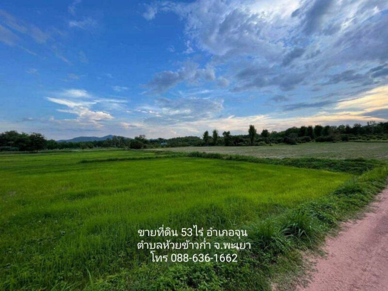 ขาย ที่ดิน 53 ไร่ อำเภอจุน ต.ห้วยข้าวก่ำ จ. พะเยา (ที่ดินติดถนน พย 4023 ถึง ด้านบน ภูเขา ม่อน) โฉนดพร้อมโอน ราคาต่อรองได้