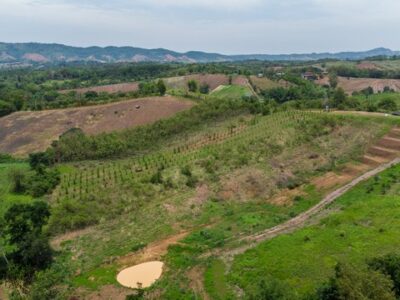 ขายที่ดินเขาค้อ นะโมแลนด์ Phase 3-2 เริ่ม 1200 ตร.ว. ทำเลทุ่งสมอ บรรยากาศภูเขาและพื้นที่สีเขียว ราคา 11250 บาท-ตร.ว.