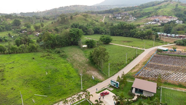 ขายที่ดินเขาค้อ นะโมแลนด์ Phase 4-1 เริ่ม 530 ตร.ว. โซนใกล้วัดพระธาตุผาซ่อนแก้วและชุมชนเขาค้อ ราคา 20000 บาท-ตร.ว.