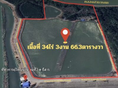 ขายที่ดินยี่สาร อัมพวา 34 ไร่ 3 งาน 66.3 ตร.ว. หน้าติดถนน หลังติดคลอง