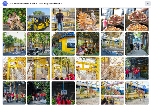 ขายกิจการสวนสัตว์ พร้อมร้านอาหารและคาเฟ่ พร้อมธุรกิจนำเข้าส่งออกสัตว์ จังหวัดปทุมธานี เนื้อที่รวม 6 ไร่