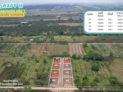 ขายที่ดินคลอง 10 ซอยคุณหญิง เฟส 3 แปลง B3 124 ตร.ว. ใกล้คลองแอล ถนนสาธารณะเข้าถึงแปลง ราคา 434000 บาท