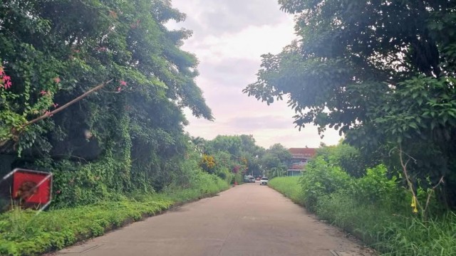 ให้เช่า #ที่ดินเปล่า ซอยราชวินิตบางแก้ว หลังเมกาบางนา #ใกล้โรงเรียนราชวินิตบางแก้ว #ย่านบางนา