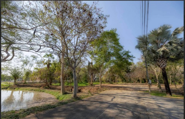 ราคาลดพิเศษ 8.9 ล้านบาท ขายที่ดินทำเลสงบ #ดอยสะเก็ด–#เชิงดอย ที่ดินแปลงสวย มีต้นฉำฉาใหญ่ บรรยากาศร่มรื่น #ใกล้วัดพระธาตุดอยสะเก็ด