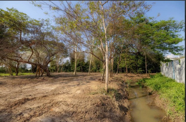ราคาลดพิเศษ 8.9 ล้านบาท ขายที่ดินทำเลสงบ #ดอยสะเก็ด–#เชิงดอย ที่ดินแปลงสวย มีต้นฉำฉาใหญ่ บรรยากาศร่มรื่น #ใกล้วัดพระธาตุดอยสะเก็ด