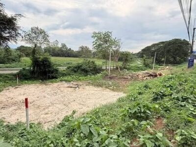 ที่ดินติดทางหลวงแม่ริม เหมาะสำหรับสร้างบ้าน ธุรกิจ ขี้เหล็ก แม่ริม
