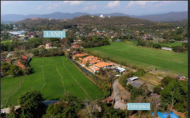 ที่ดินทำเลสงบ แปลงสวย บรรยากาศร่มรื่น มีต้นฉำฉาใหญ่ ดอยสะเก็ด