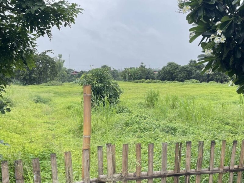 ขายที่ดินทำเลสวย ติดแม่น้ำปิง (หายาก) อำเภอสันป่าตอง จังหวัดเชียงใหม่ เนื้อที่รวม 3 ไร่ 2 งาน 20 ตารางวา