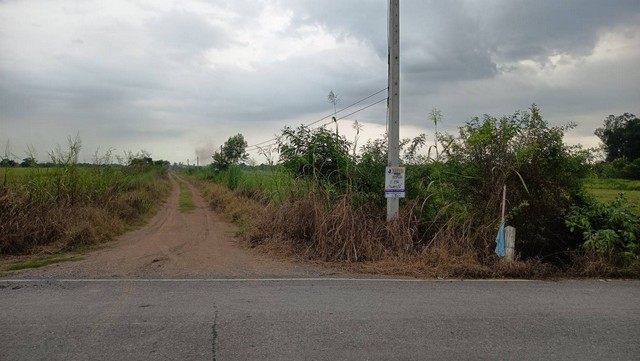 องครักษ์ นครนายก ขายที่ดิน 2 งาน ใกล้มหาวิทยาลัยและศูนย์การแพทย์ มศว