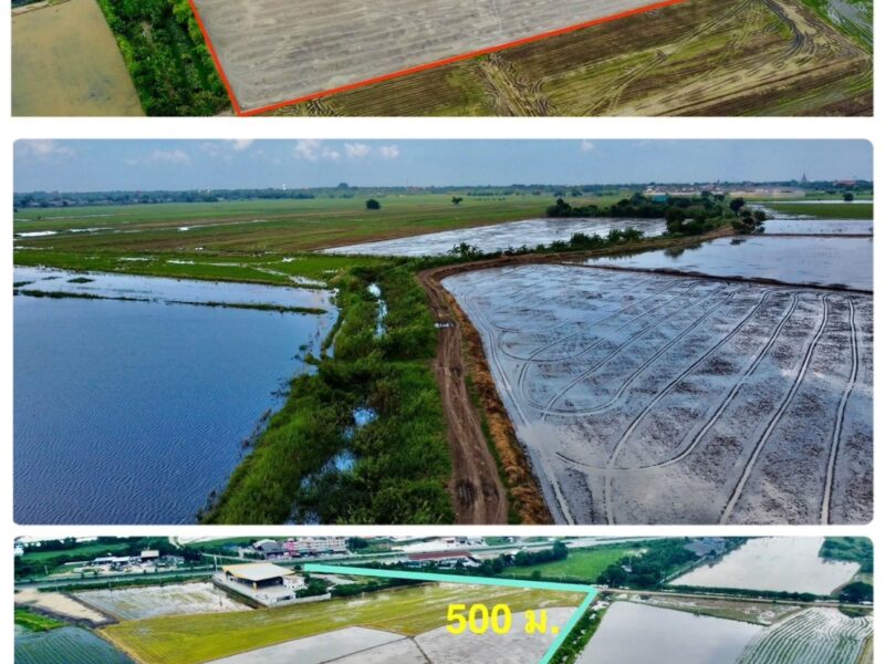 ขายที่ดิน อยุธยา ใกล้ 4แยกวรเชษฐ์ อำเภอเมืองพระนครศรีอยุธยา จังหวัด พระนครศรีอยุธยา