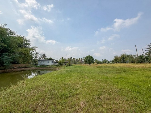 ขายที่ดินบ้านโค้งดารา หนองขาม ศรีราชา แปลงสวย ติดลำธารธรรมชาติ FP-L02443
