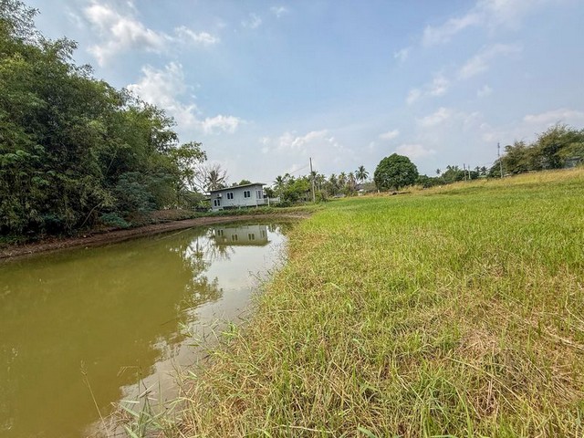 ขายที่ดินบ้านโค้งดารา หนองขาม ศรีราชา แปลงสวย ติดลำธารธรรมชาติ FP-L02443